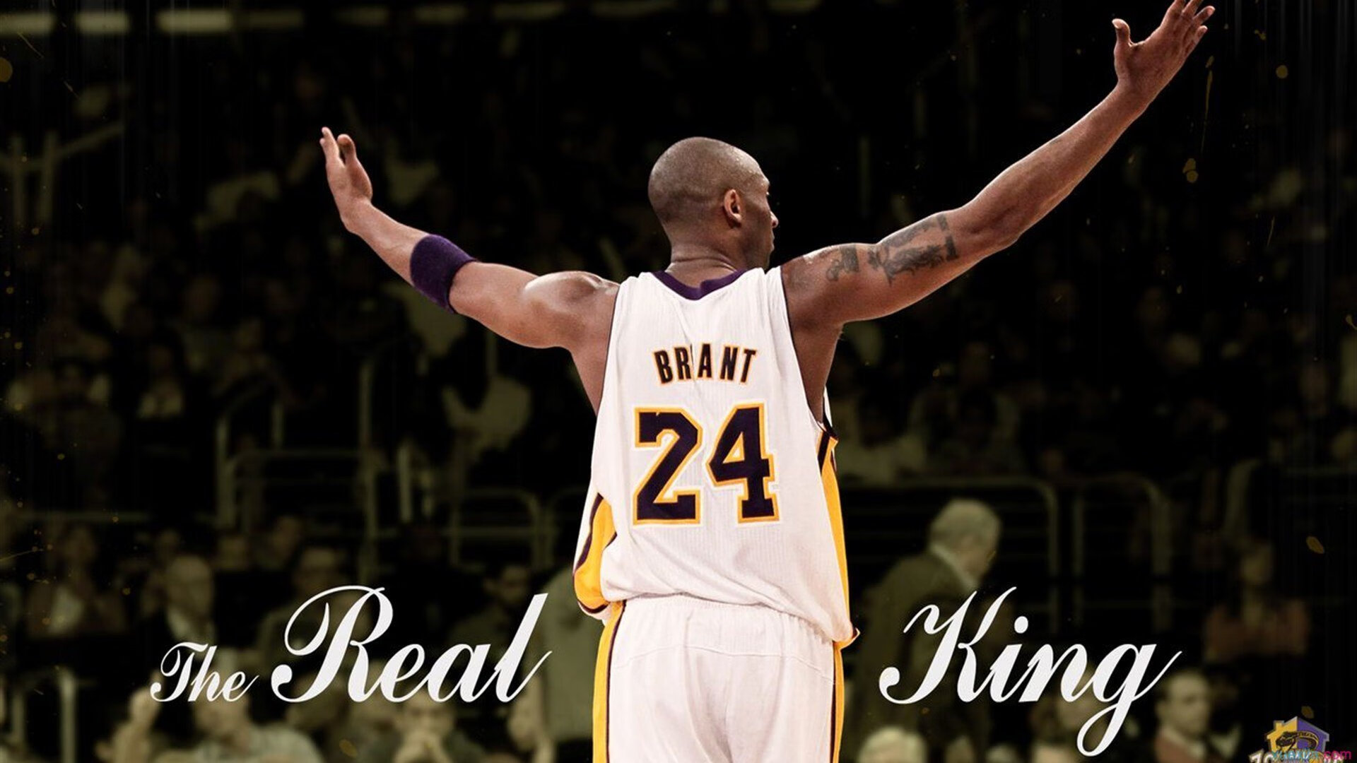 青少年“绿色运动鞋”设计大赛在上海盛大举行，倡导环保出行理念